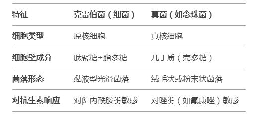 克雷伯菌是細菌還是真菌？克雷伯菌屬類型與致病物質(zhì)