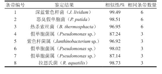 3種植物精油對調(diào)理牛排腐敗貯藏過程優(yōu)勢腐敗菌生長抑制情況及細菌生長曲線（二）