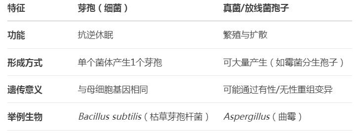 芽孢是微生物還是細菌的一種？芽孢有繁殖功能嗎
