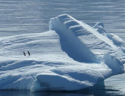 嗜冷微生物定義及最適生長溫度、最高/低生長溫度