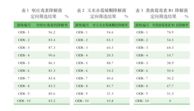 芽孢桿菌對黃曲霉毒素B1、嘔吐毒素、玉米赤霉烯酮的降解作用——結(jié)果、結(jié)論