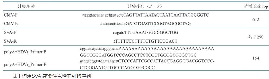 ?A型塞內(nèi)卡病毒全長感染性克隆、致病機(jī)理及生長曲線分析（一）