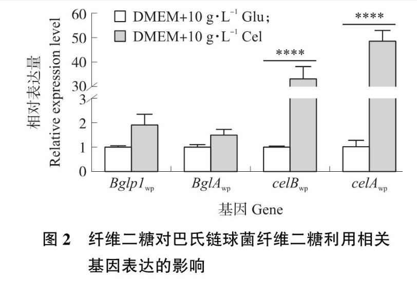 纖維二糖利用基因簇對(duì)豬源巴氏鏈球菌生長曲線及毒力的影響—— 結(jié)果與分析、討論